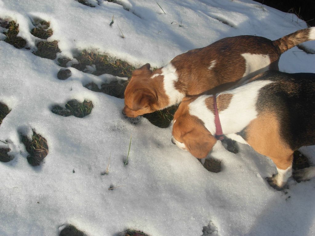 Max e Nike